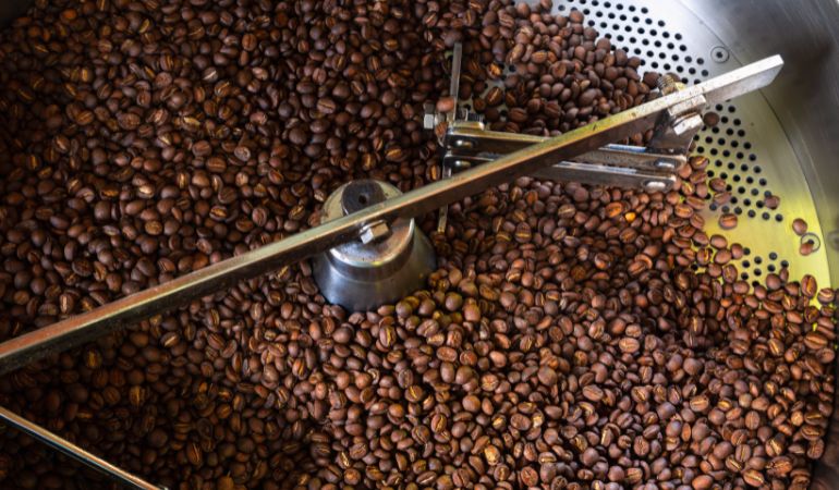 Del cultivo a la taza: El apasionante viaje del café