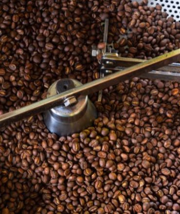 Del cultivo a la taza El apasionante viaje del café